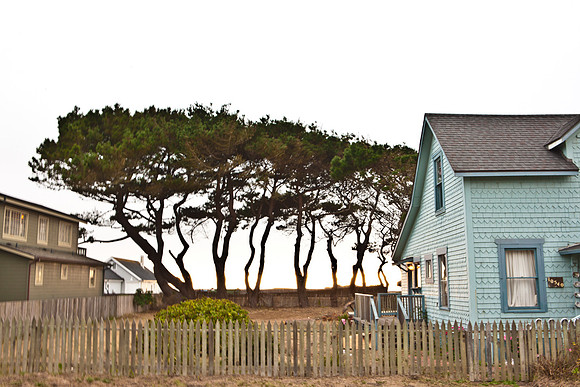 USA_2009_Americana_Series_5L8Y0620