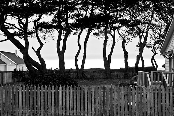 USA_2009_Americana_Series_5L8Y0623