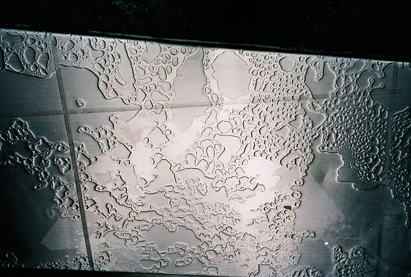 52742_FM_COLOR_35MM_NYC_NEW_YORK_01_20.jpg