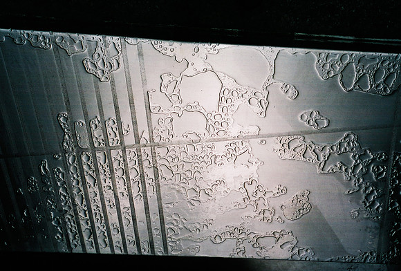 52742_FM_COLOR_35MM_NYC_NEW_YORK_01_19.jpg