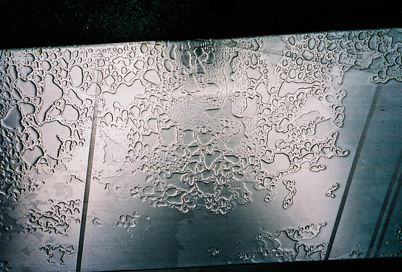 52742_FM_COLOR_35MM_NYC_NEW_YORK_01_23.jpg