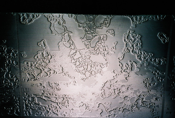 52742_FM_COLOR_35MM_NYC_NEW_YORK_01_28.jpg