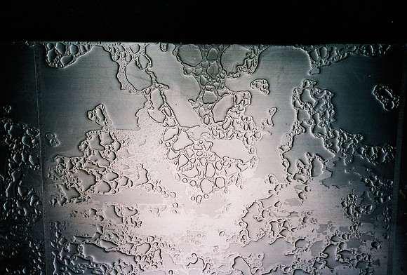 52742_FM_COLOR_35MM_NYC_NEW_YORK_01_26.jpg