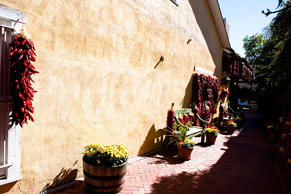 20080918_DVD62_DG_USA_Albuquerque_5L8Y8205_full_blead
