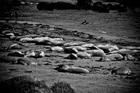 0028_Frisco_To_LA_5L8Y1895