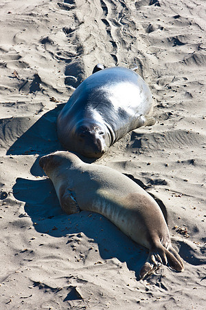 0028_Frisco_To_LA_5L8Y1930
