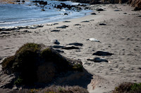 0028_Frisco_To_LA_5L8Y1803