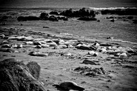 0028_Frisco_To_LA_5L8Y1887