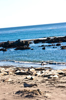 0028_Frisco_To_LA_5L8Y1889