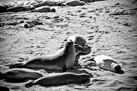 0028_Frisco_To_LA_5L8Y1840