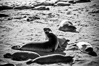 0028_Frisco_To_LA_5L8Y1838