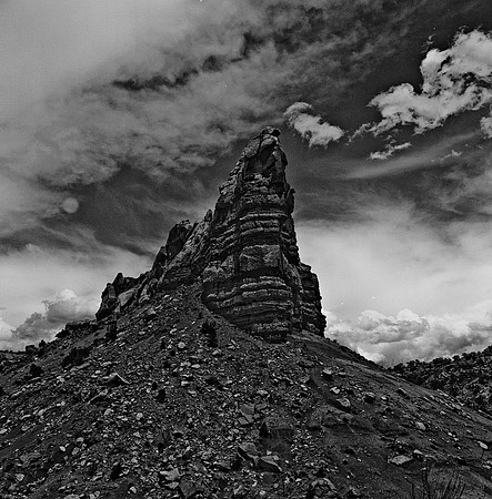 36020_BW_SQ_CAMEL_HEAD_NM_03_6.jpg