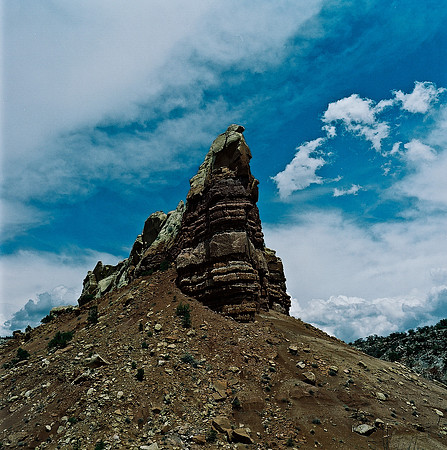 36019_COLOR_SQ_NM_03_15.jpg
