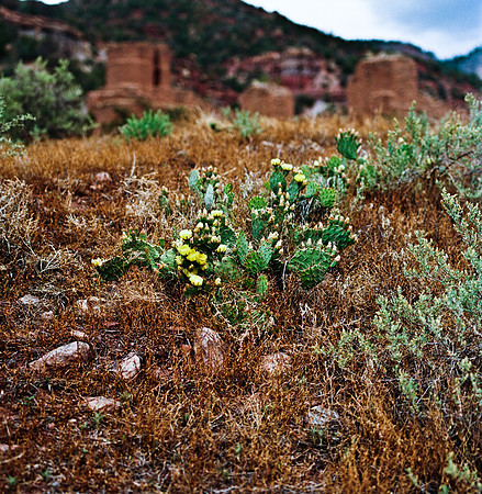 36017_FM_COLOR_NM_03_1.jpg