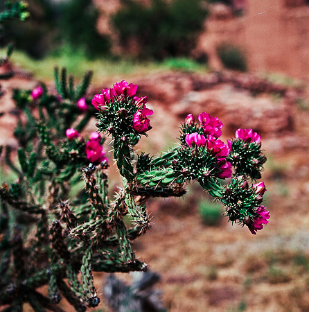 36017_FM_COLOR_NM_03_11.jpg