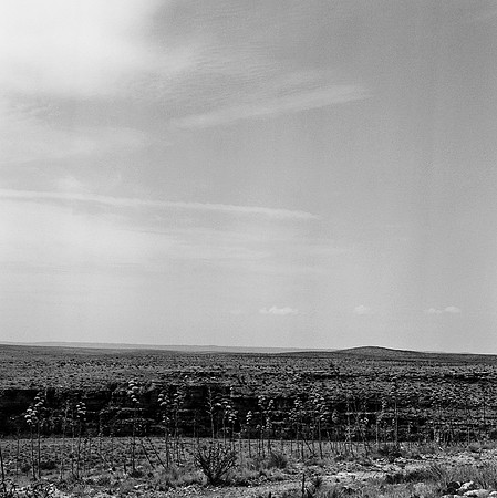 36011_BW_SQ_Carlsbad_NM_03_7.jpg