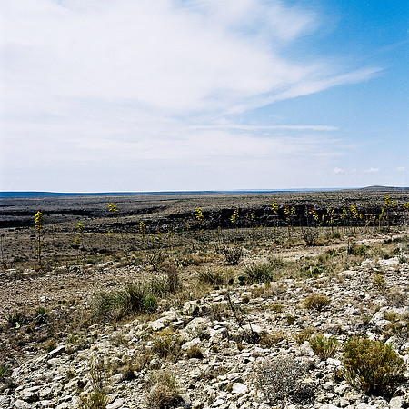 36012_FM_COLOR_WHILE_SAND_NM_03_1.jpg