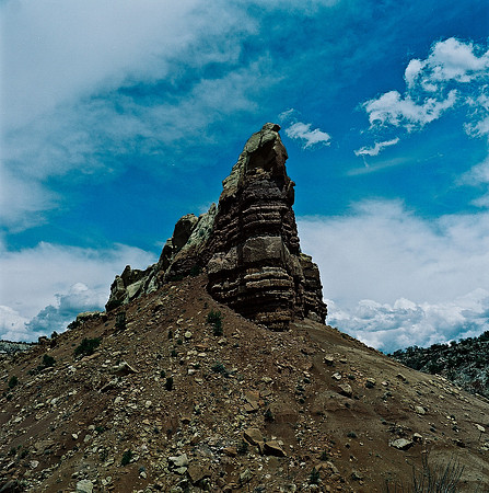 36019_COLOR_SQ_NM_03_14.jpg
