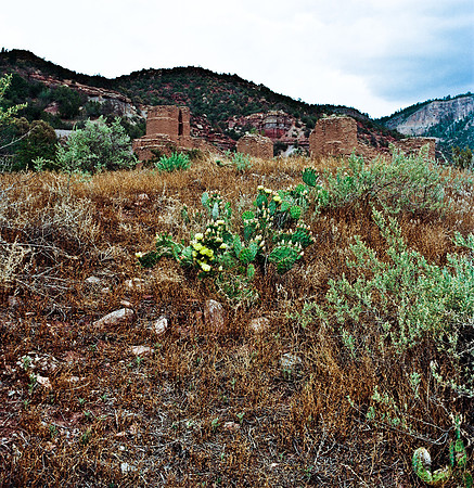 36017_FM_COLOR_NM_03.jpg