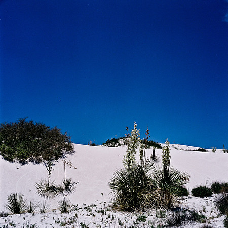 36012_FM_COLOR_WHILE_SAND_NM_03_10.jpg