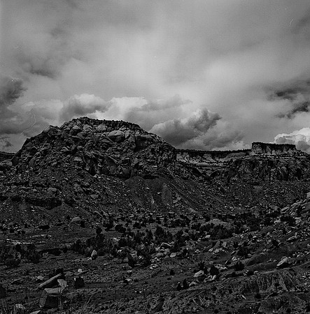 36020_BW_SQ_CAMEL_HEAD_NM_03_5.jpg
