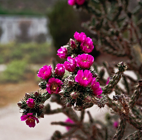 36017_FM_COLOR_NM_03_9.jpg