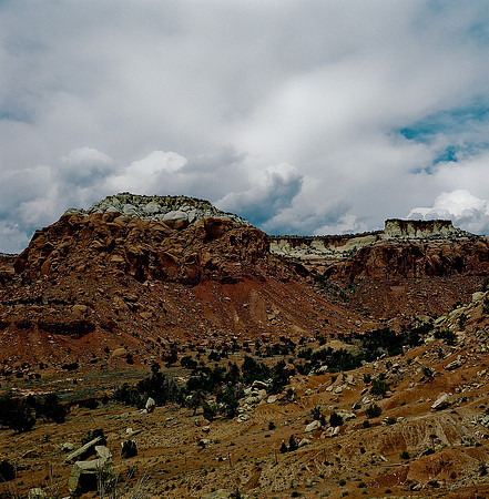 36019_COLOR_SQ_NM_03_13.jpg