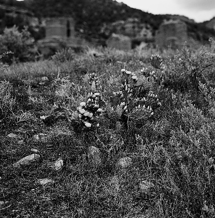 36016_BW_SQ_STMONKASHA_NM_03_1.jpg