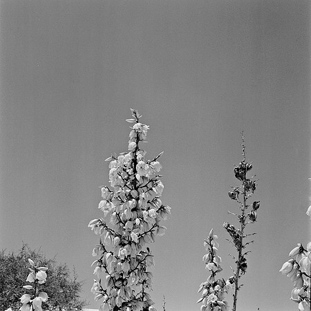 36013_BW_SQ_White_Sands_NM_03_8.jpg
