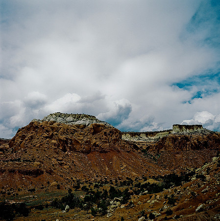 36019_COLOR_SQ_NM_03_12.jpg