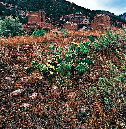 36017_FM_COLOR_NM_03_2.jpg
