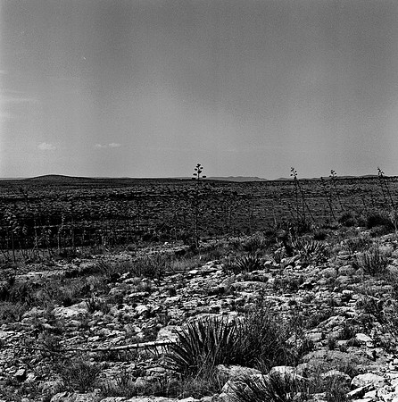 36011_BW_SQ_Carlsbad_NM_03_9.jpg