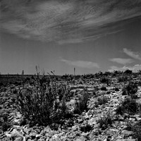 36011_BW_SQ_Carlsbad_NM_03_4.jpg
