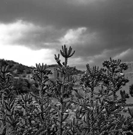 36016_BW_SQ_STMONKASHA_NM_03_11.jpg