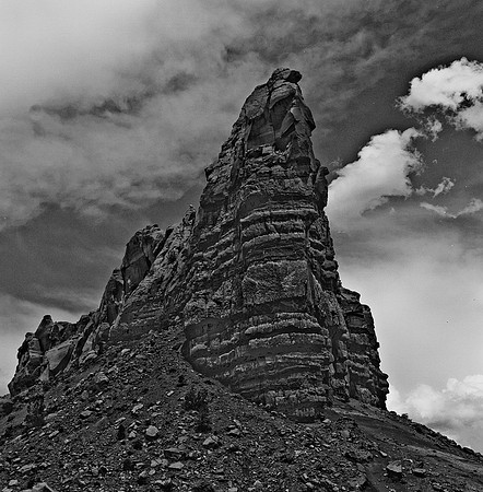36020_BW_SQ_CAMEL_HEAD_NM_03_8.jpg