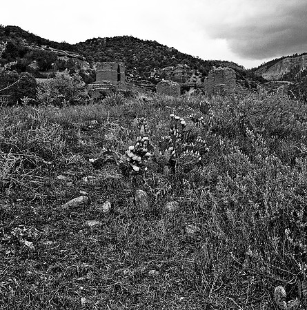 36016_BW_SQ_STMONKASHA_NM_03.jpg