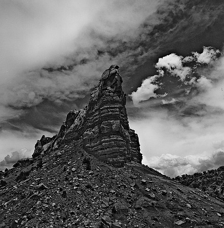 36020_BW_SQ_CAMEL_HEAD_NM_03_7.jpg