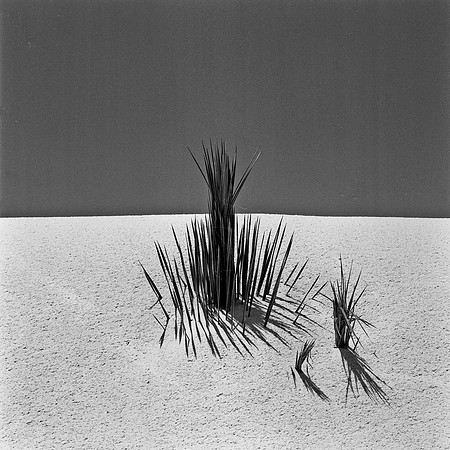 36013_BW_SQ_White_Sands_NM_03_10.jpg