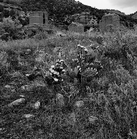 36016_BW_SQ_STMONKASHA_NM_03_2.jpg
