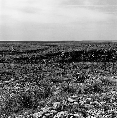 36011_BW_SQ_Carlsbad_NM_03_10.jpg