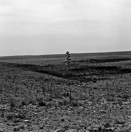 36011_BW_SQ_Carlsbad_NM_03_11.jpg