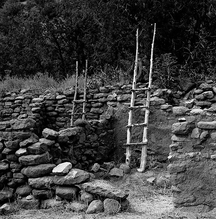 36016_BW_SQ_STMONKASHA_NM_03_4.jpg