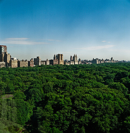 7803_FM_BW_NYC_Central_park_NY_04_4.jpg