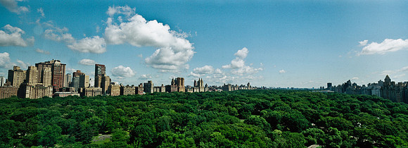 7808_FM_COLOR_PANORAMIC_NYC_NY_04_9.jpg