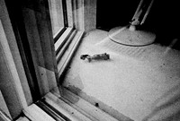 3118_FM_BW_NY_04_14.jpg