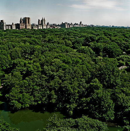 7803_FM_BW_NYC_Central_park_NY_04_7.jpg