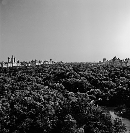 7805_FM_SQ_BW_NY_Central_Park_04_3.jpg