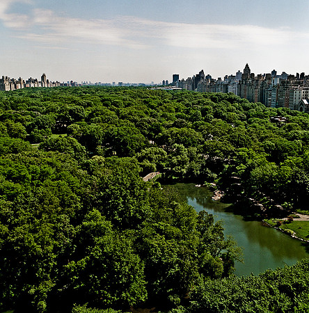 7803_FM_BW_NYC_Central_park_NY_04_8.jpg