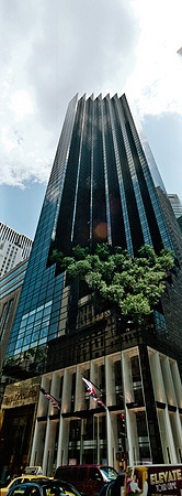 7808_FM_COLOR_PANORAMIC_NYC_NY_04_2.jpg