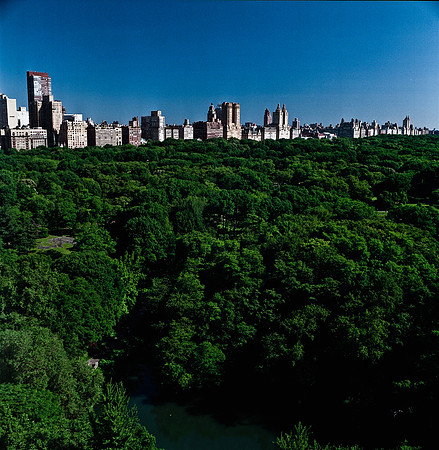 7807_FM_SQ_Central_Park_NY_City_04_1.jpg